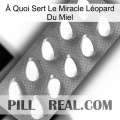 À Quoi Sert Le Miracle Léopard Du Miel cialis1